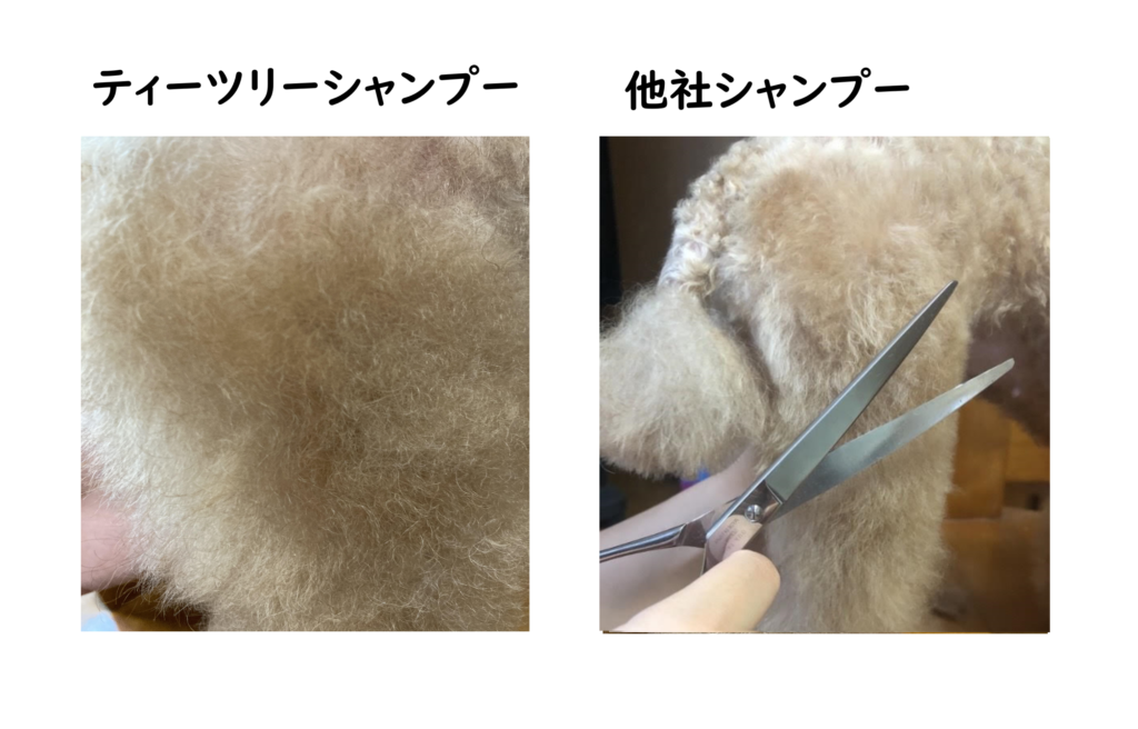 犬のティーツリーシャンプーの口コミがヤバい 危険って本当 効果や使い方 最安値サイトまで Maiku Blog